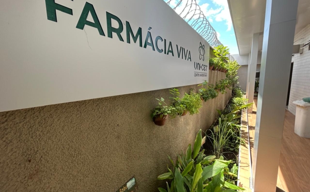 WhatsApp Image 2026-04-29 at 11.49.10 (1).jpeg