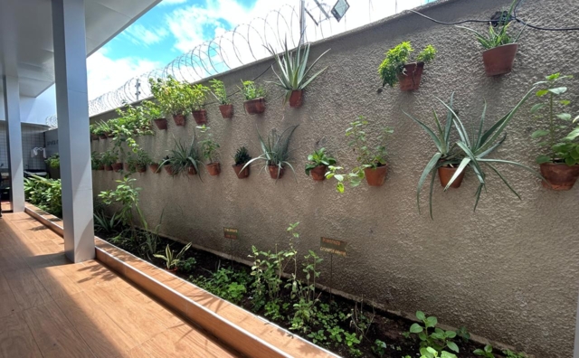 WhatsApp Image 2026-04-29 at 11.49.10 (3).jpeg